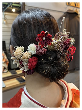 Hair Set01